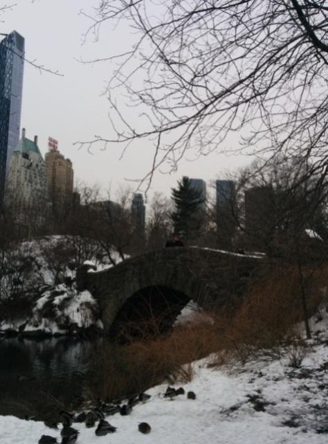 Central Park puente